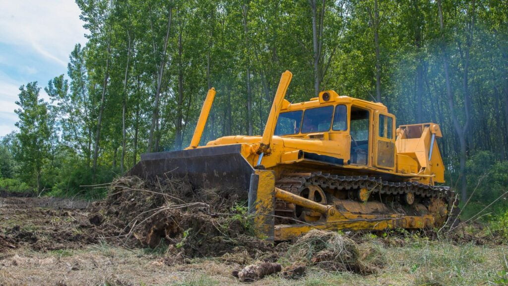 Brush Clearing Company Atlanta